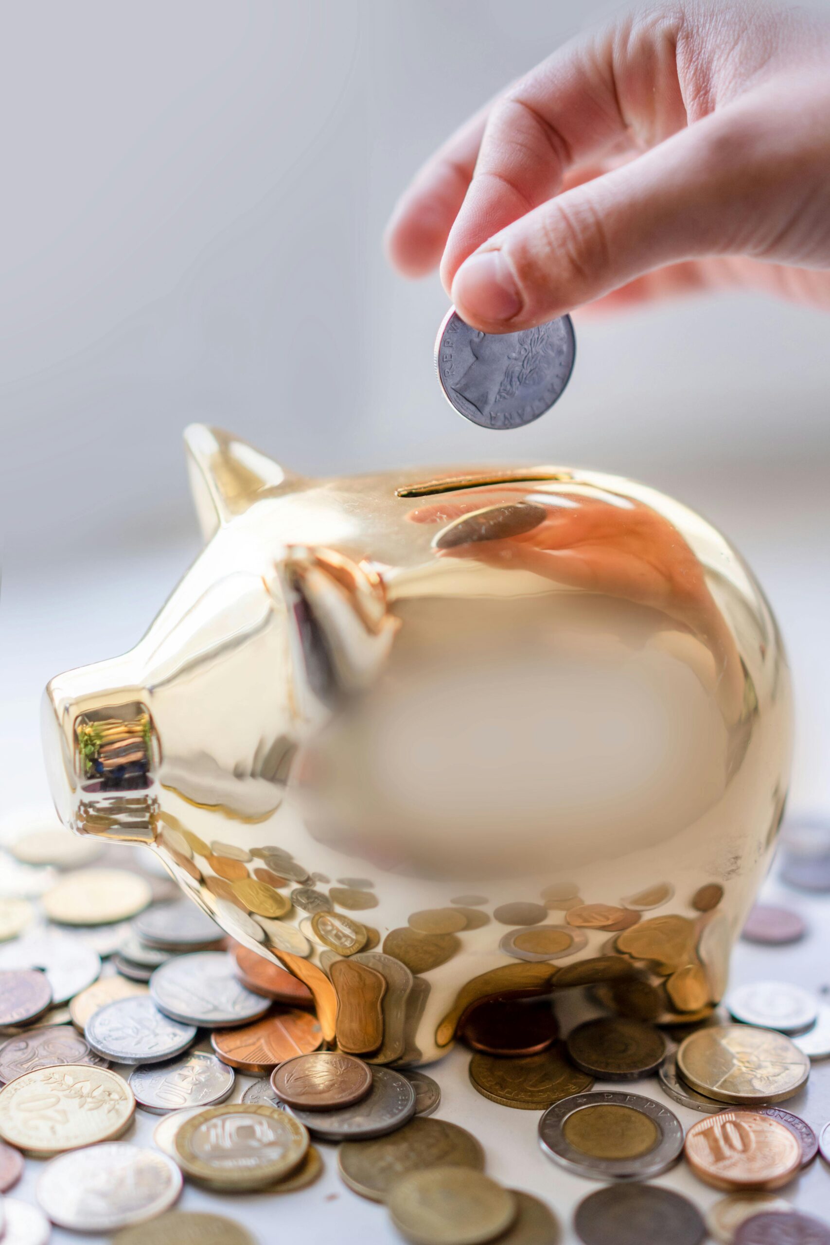 Vermögen - sparen - Sparschwein - Vermögensaufbau - ETF's - Aktienfonds - Aktien - renditenorientiert - sparen